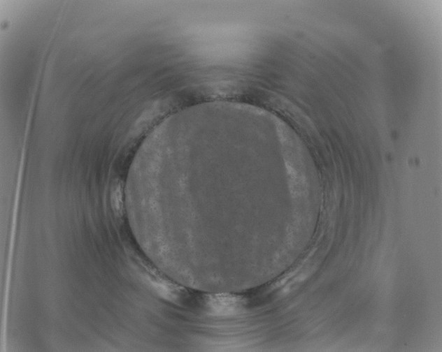 X0000071860336200607141821