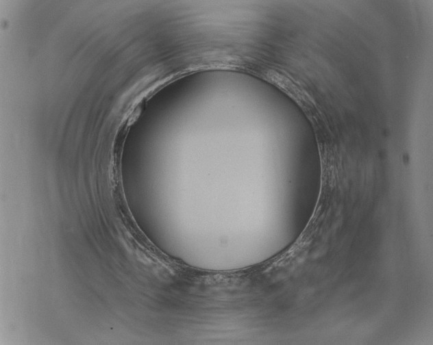 X0000071860338200607141820