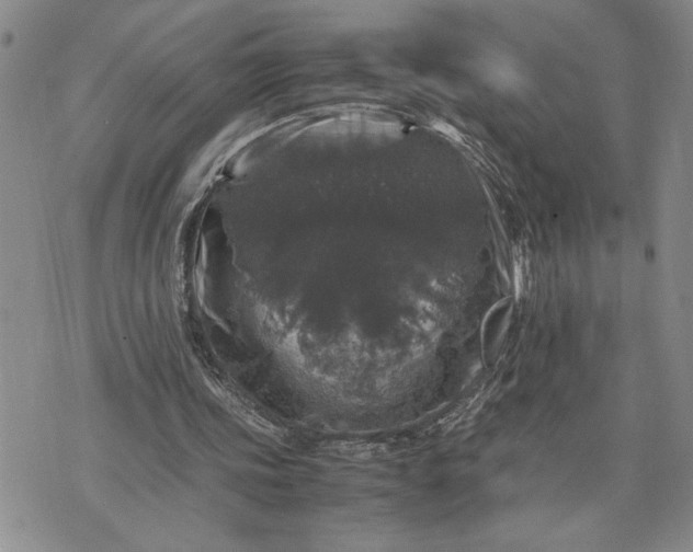 X0000071860339200607141820