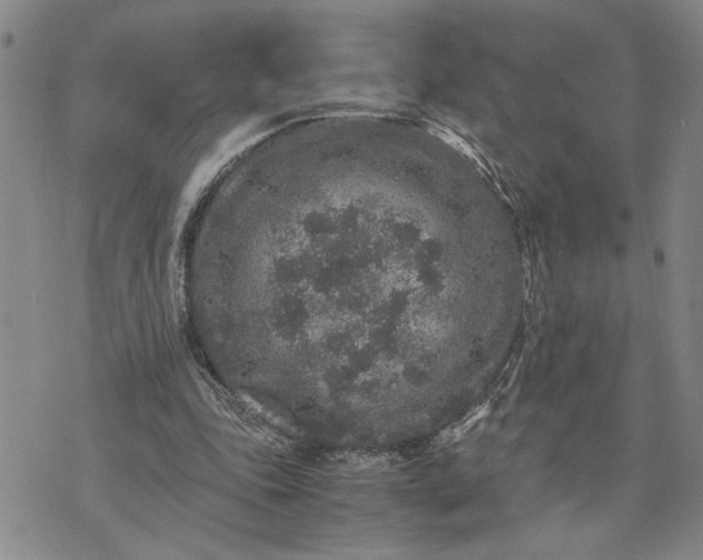 X0000071860343200607141821