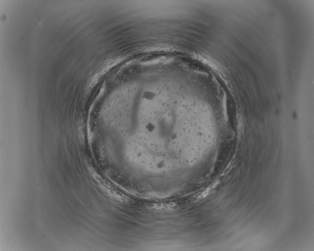 X0000071860345200607141821