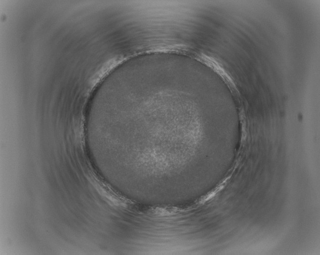 X0000071860346200607141821