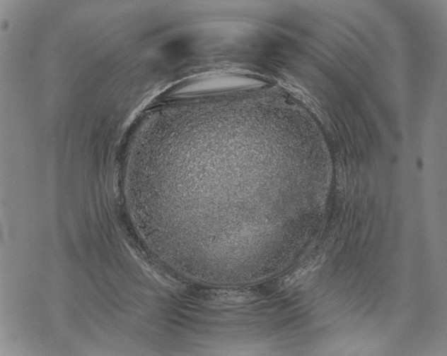 X0000071860347200607141821