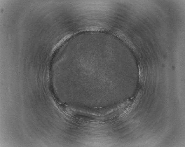 X0000071860348200607141821