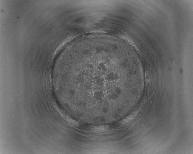 X0000071860349200607141821