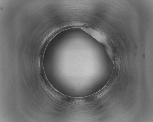 X0000071860350200607141821