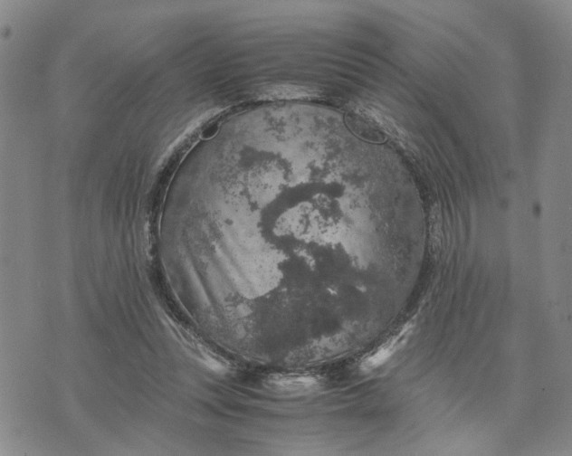 X0000071860351200607141821