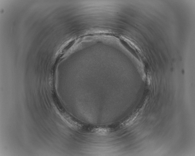 X0000071860352200607141821