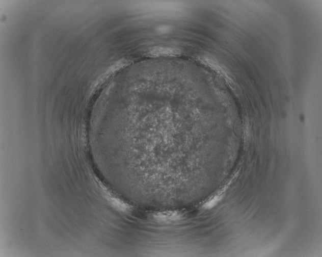 X0000071860353200607141821