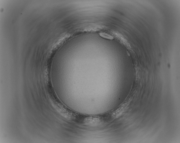 X0000071860354200607141821