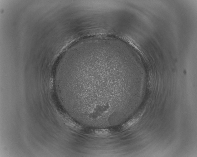 X0000071860355200607141821