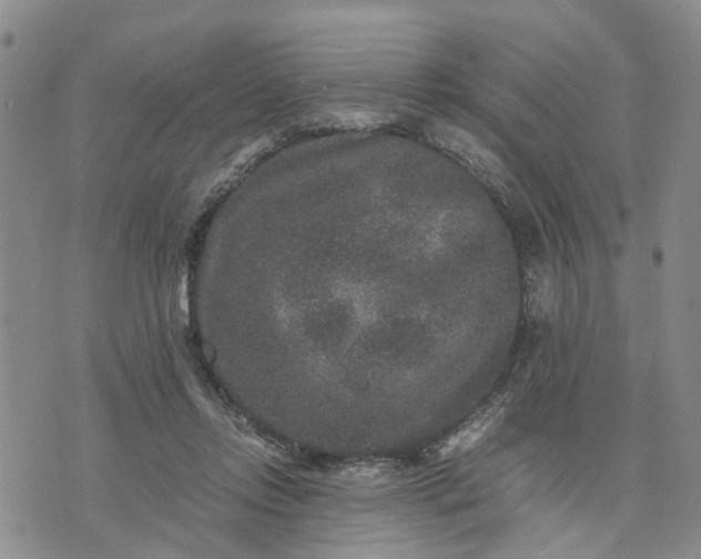 X0000071860358200607141821