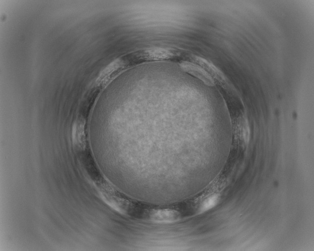 X0000071860360200607141821