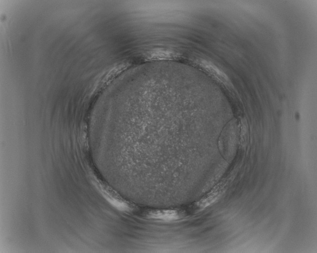 X0000071860361200607141821