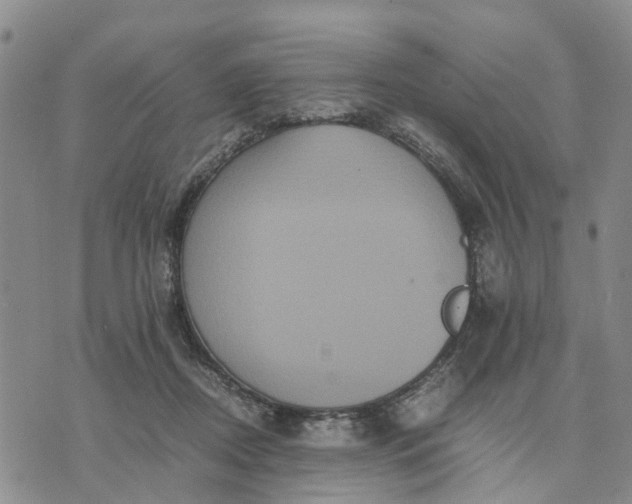 X0000071860362200607141821