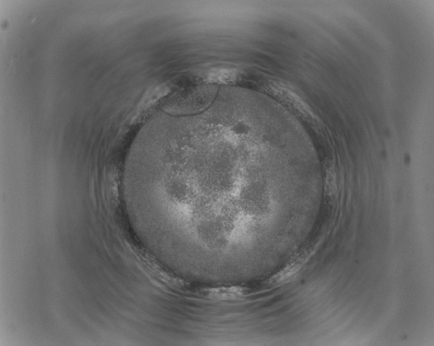 X0000071860363200607141821