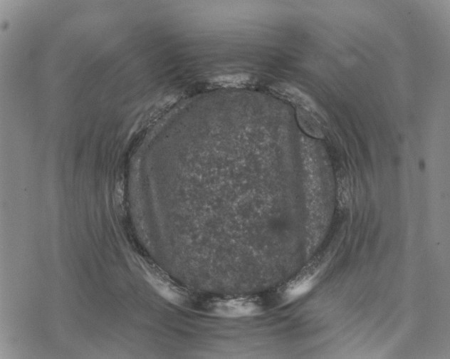 X0000071860365200607141821