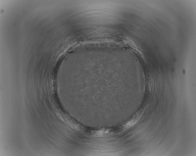 X0000071860366200607141821