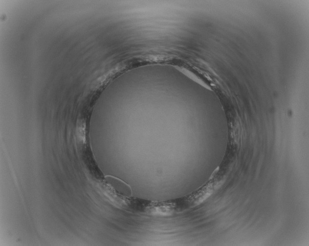 X0000071860368200607141821