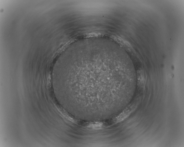 X0000071860369200607141821