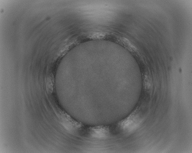 X0000071860370200607141821