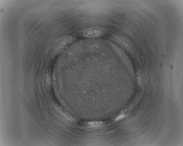 X0000071860371200607141821