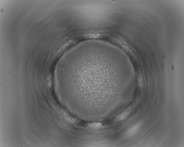 X0000071860374200607141821