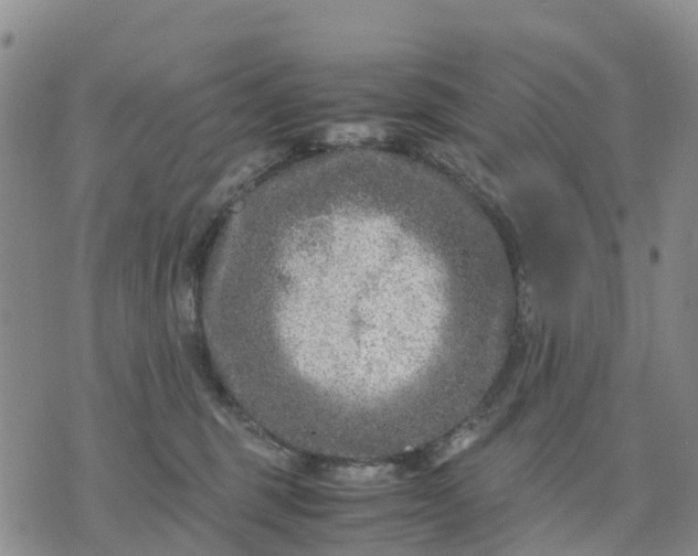 X0000071860375200607141821