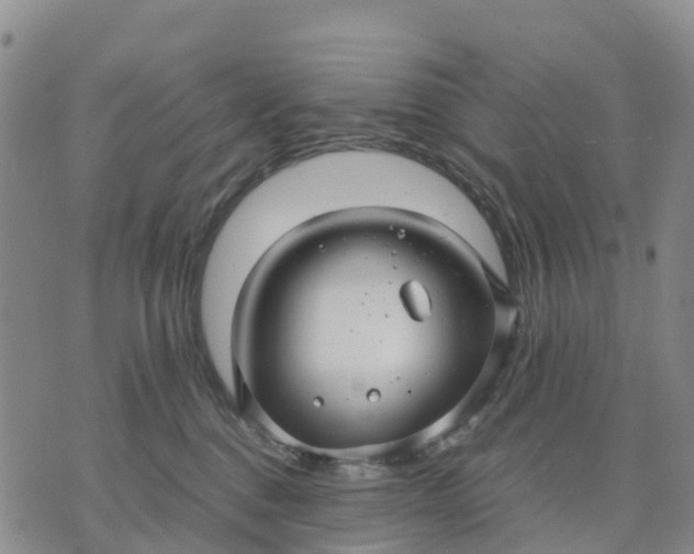 X0000071860376200607141821