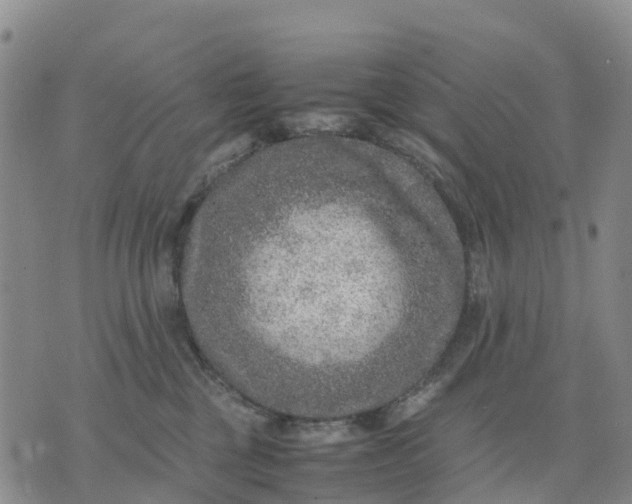 X0000071860377200607141821