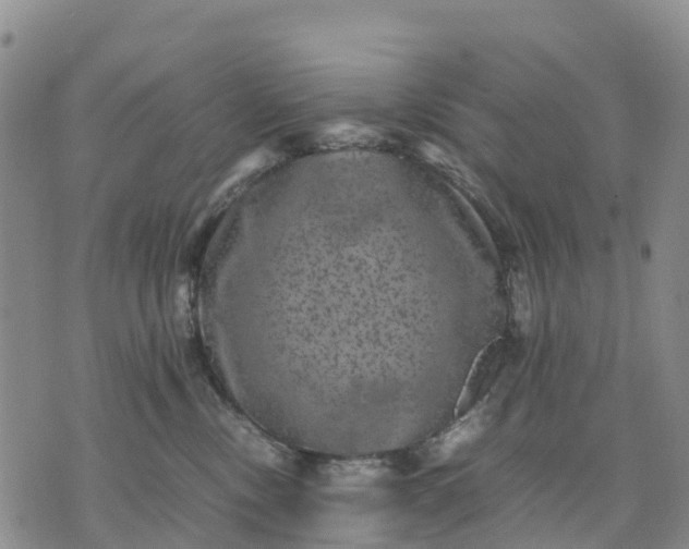 X0000071860378200607141821