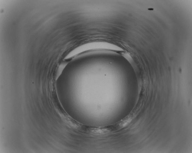 X0000071860379200607141821