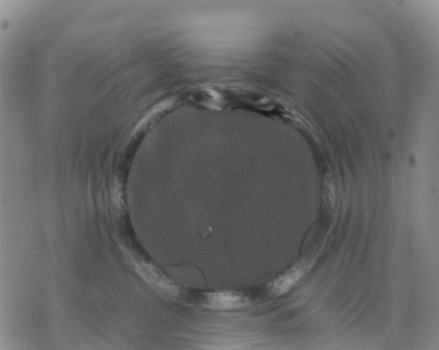 X0000071860380200607141821