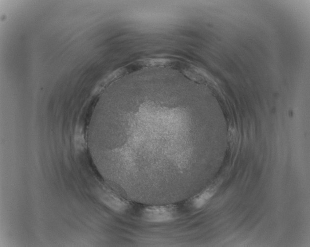 X0000071860381200607141821