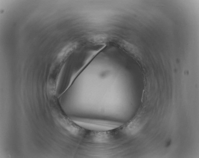 X0000071860384200607141821