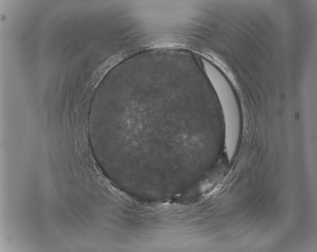 X0000071860385200607141820