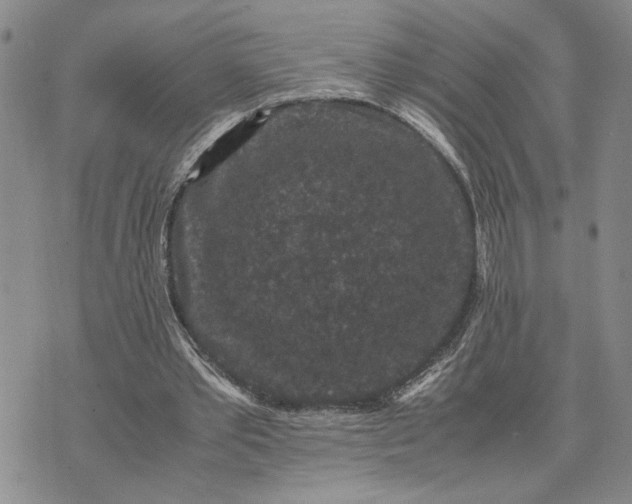 X0000071860389200607141820