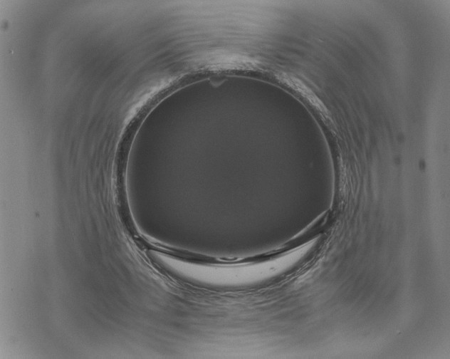 X0000071860391200607141820