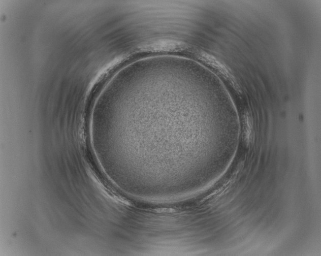 X0000071860392200607141820