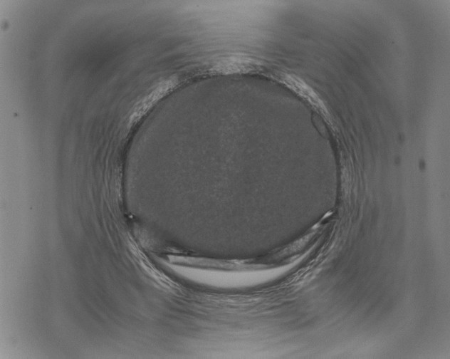 X0000071860393200607141820