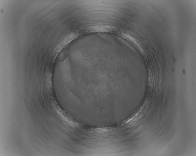 X0000071860394200607141820