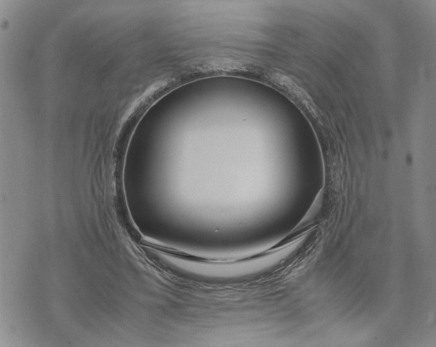 X0000071860395200607141820