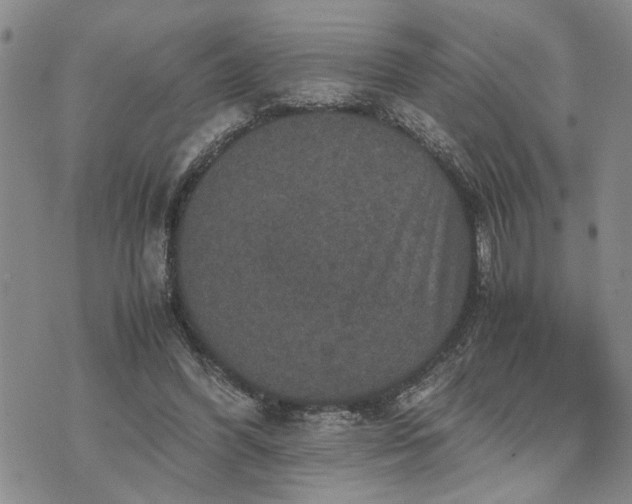 X0000071860396200607141820