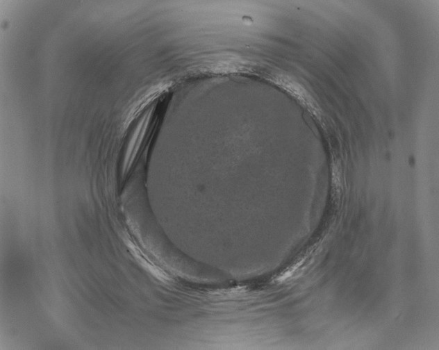 X0000071860397200607141820