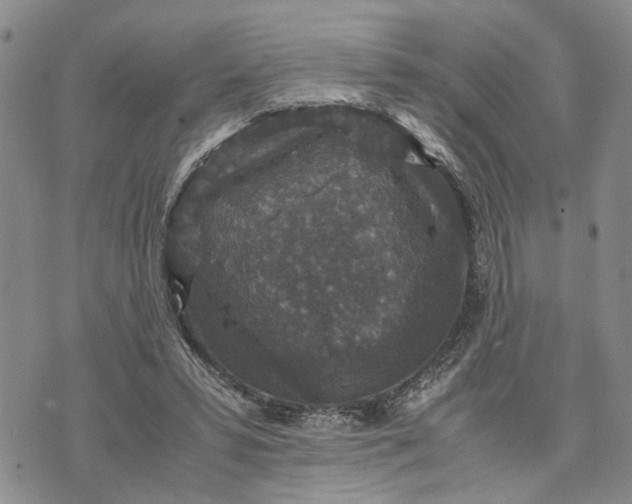 X0000071860399200607141820