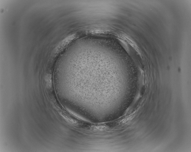 X0000071860401200607141820