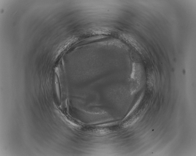 X0000071860402200607141820