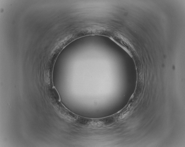 X0000071860403200607141820