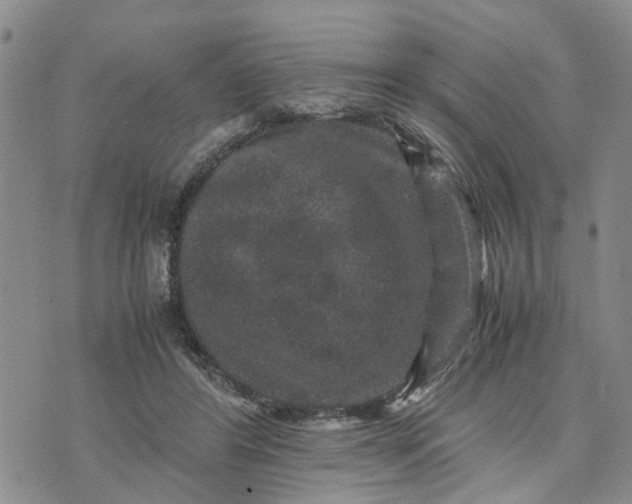 X0000071860404200607141820