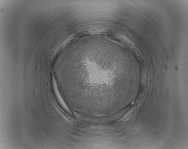 X0000071860405200607141820